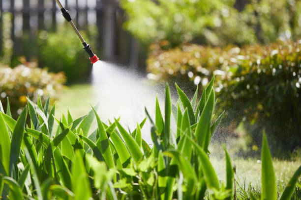24/7 Emergency Ant Control experts in California, MO